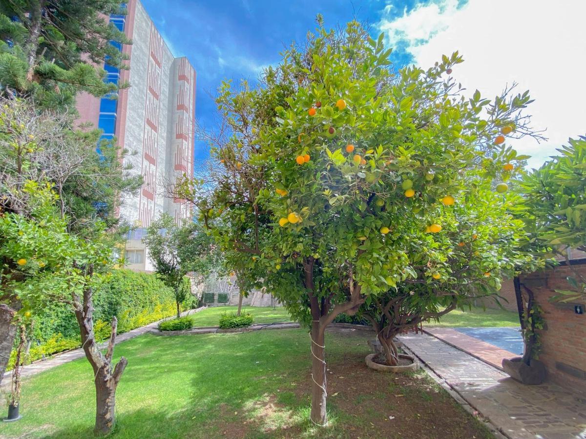 Azabu Hotel Collection San Luis Potosí Eksteriør bilde